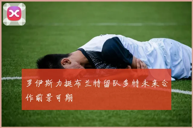 罗伊斯力挺布兰特留队多特未来合作前景可期
