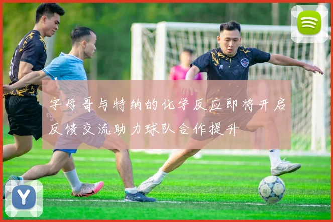 字母哥与特纳的化学反应即将开启反馈交流助力球队合作提升