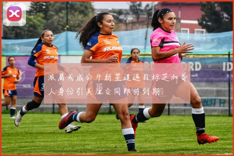 浓眉或成公牛新星追逐目标芝加哥人身份引关注合同即将到期