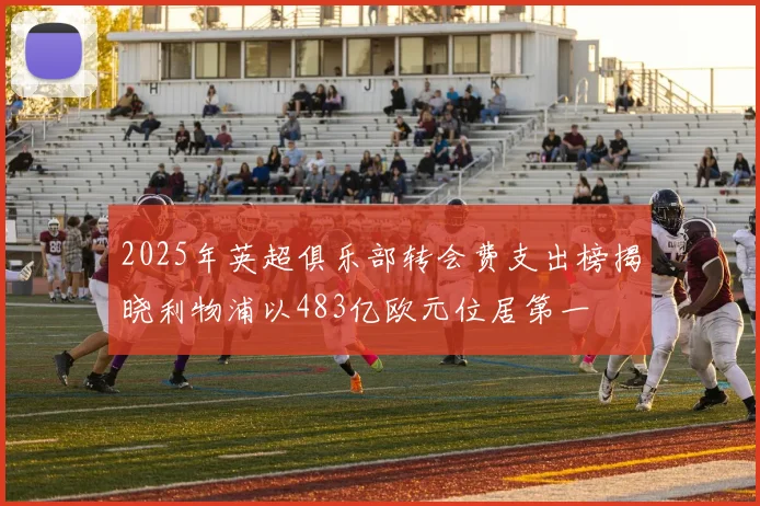 2025年英超俱乐部转会费支出榜揭晓利物浦以483亿欧元位居第一